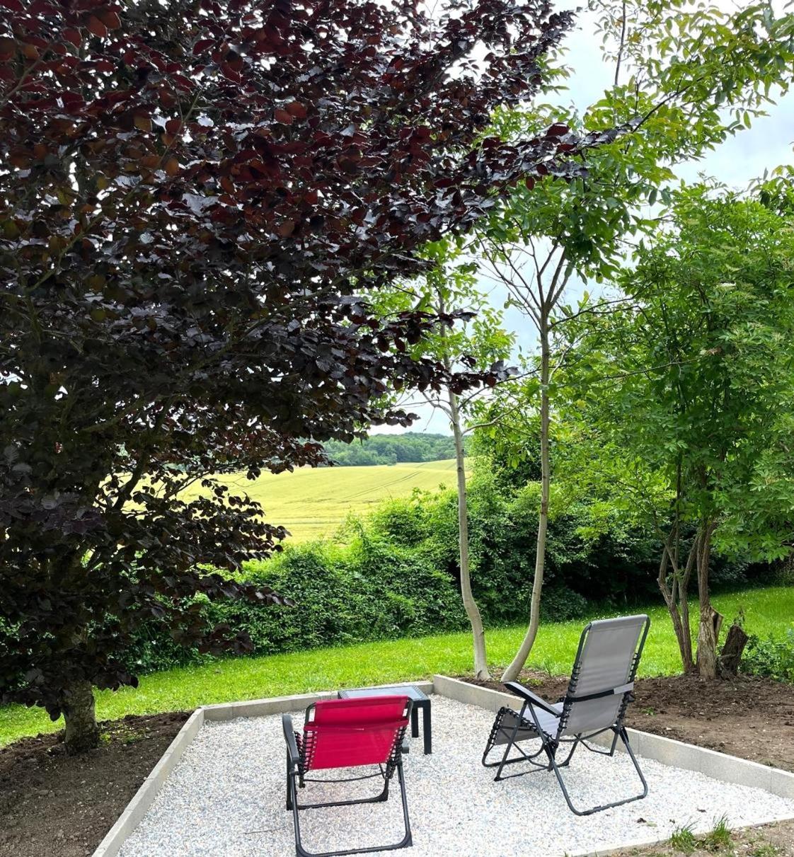 Bed and Breakfast La Demeure D'Othe Sormery Exteriér fotografie