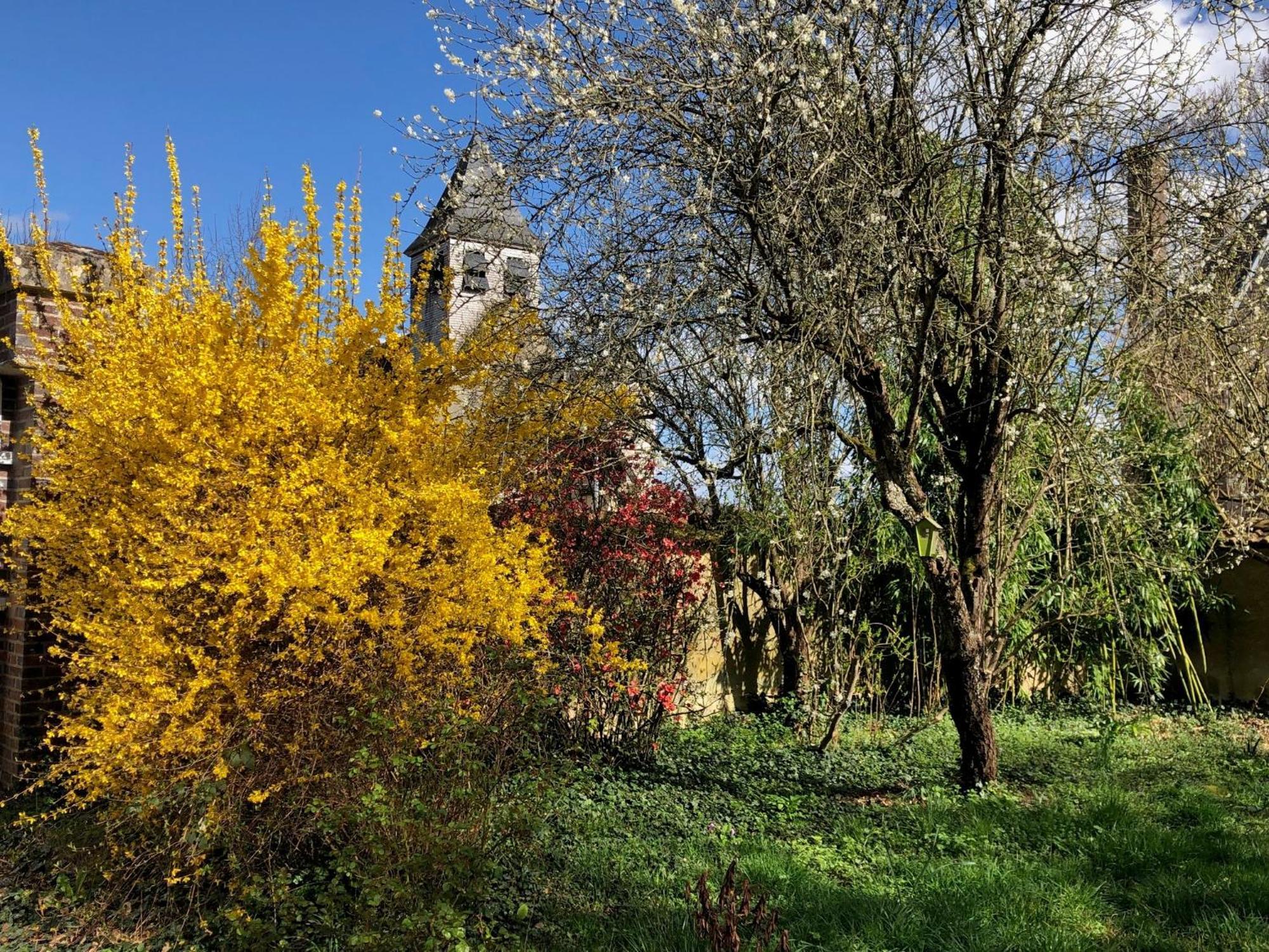 Bed and Breakfast La Demeure D'Othe Sormery Exteriér fotografie